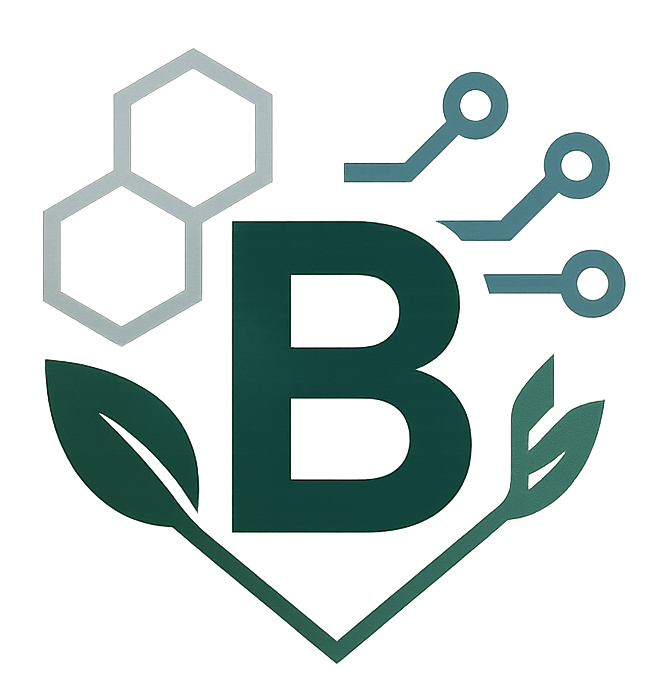 Boron India